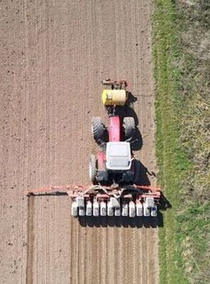 Insecticide: comment l'agrochimie a tué les insectes